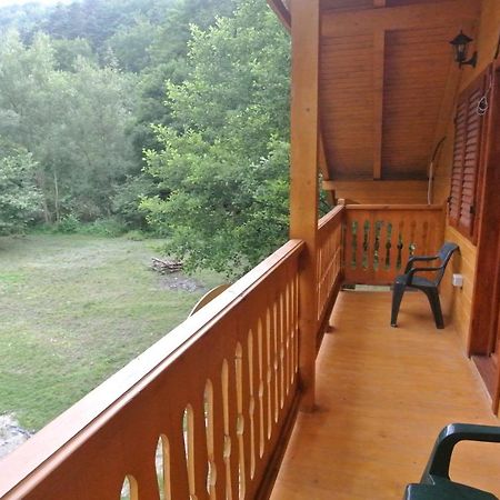 Chalet By The River Văliug エクステリア 写真