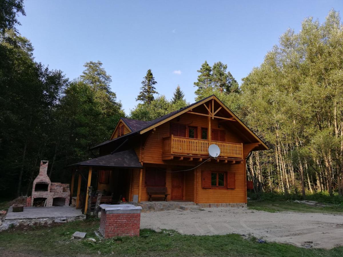 Chalet By The River Văliug エクステリア 写真