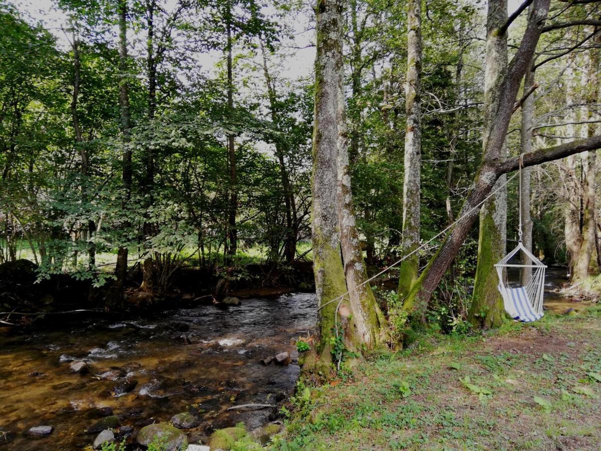 Chalet By The River Văliug エクステリア 写真