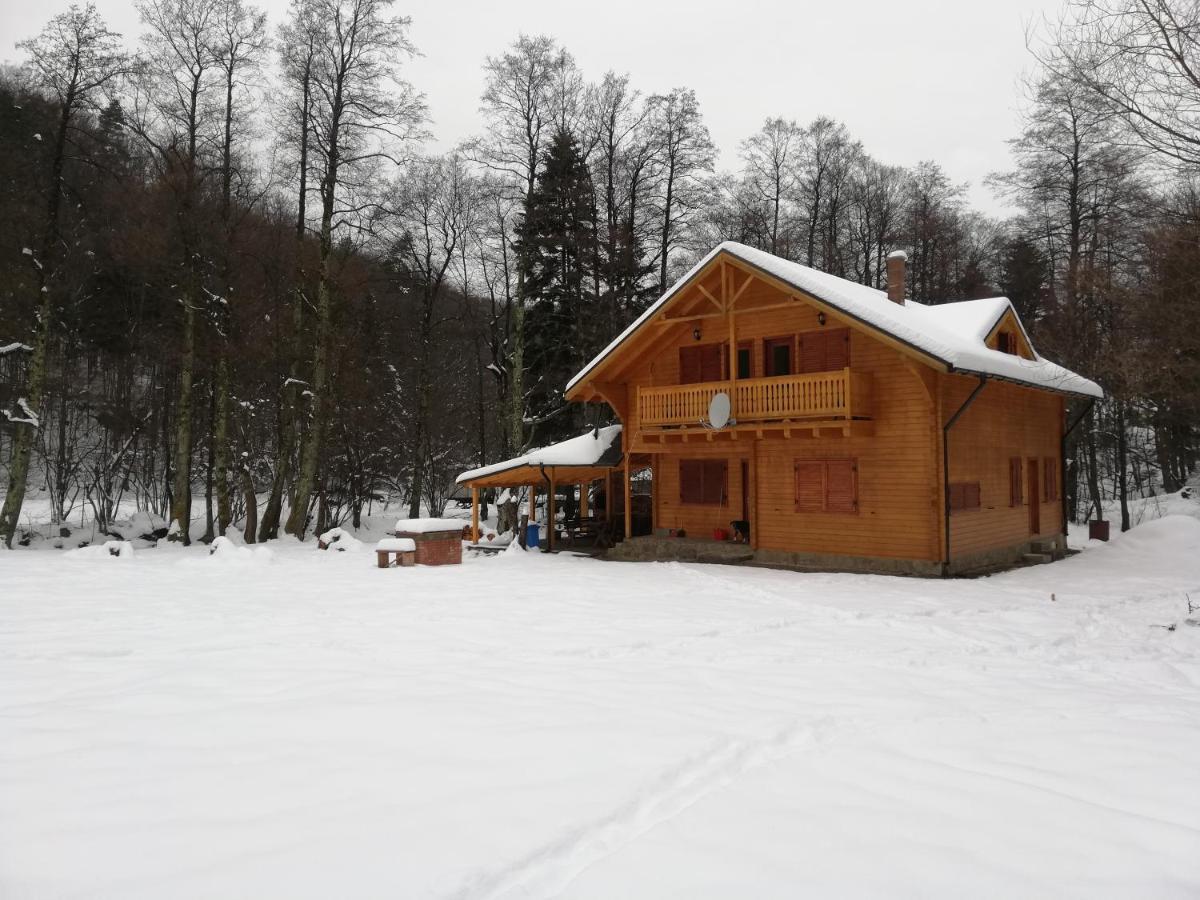 Chalet By The River Văliug エクステリア 写真