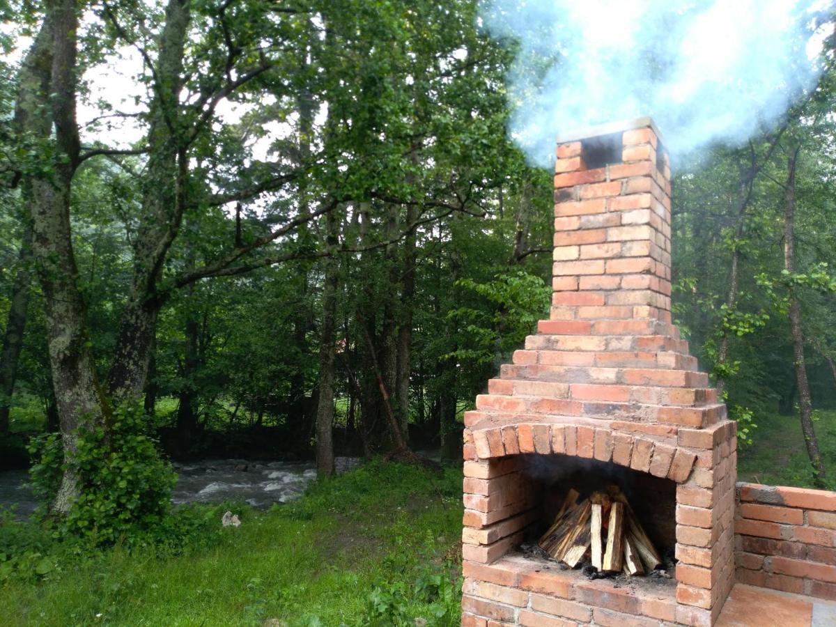 Chalet By The River Văliug エクステリア 写真
