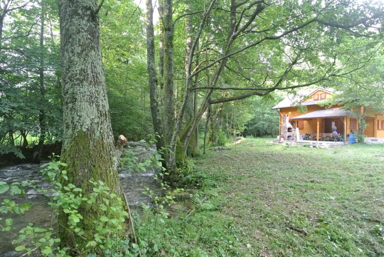 Chalet By The River Văliug エクステリア 写真