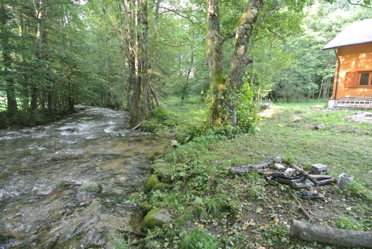 Chalet By The River Văliug エクステリア 写真