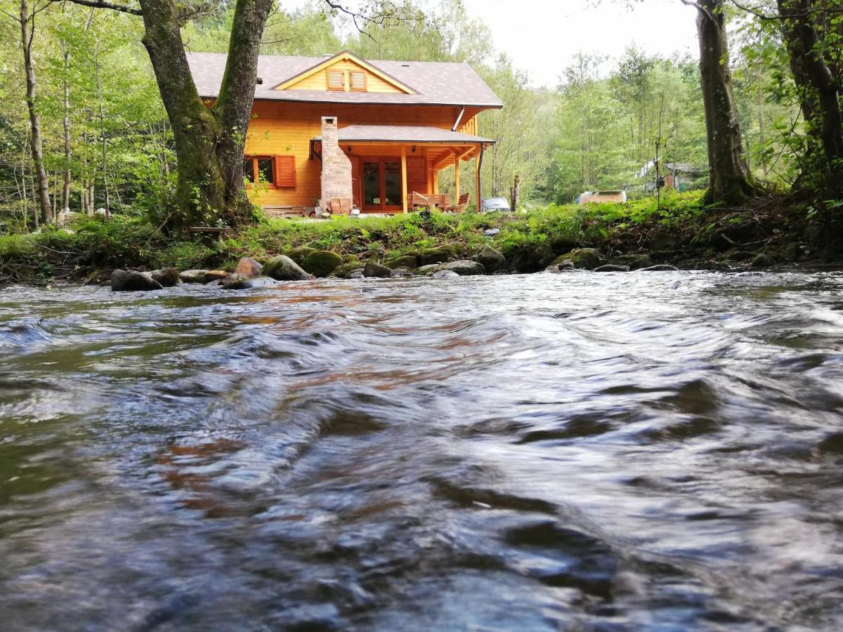 Chalet By The River Văliug エクステリア 写真
