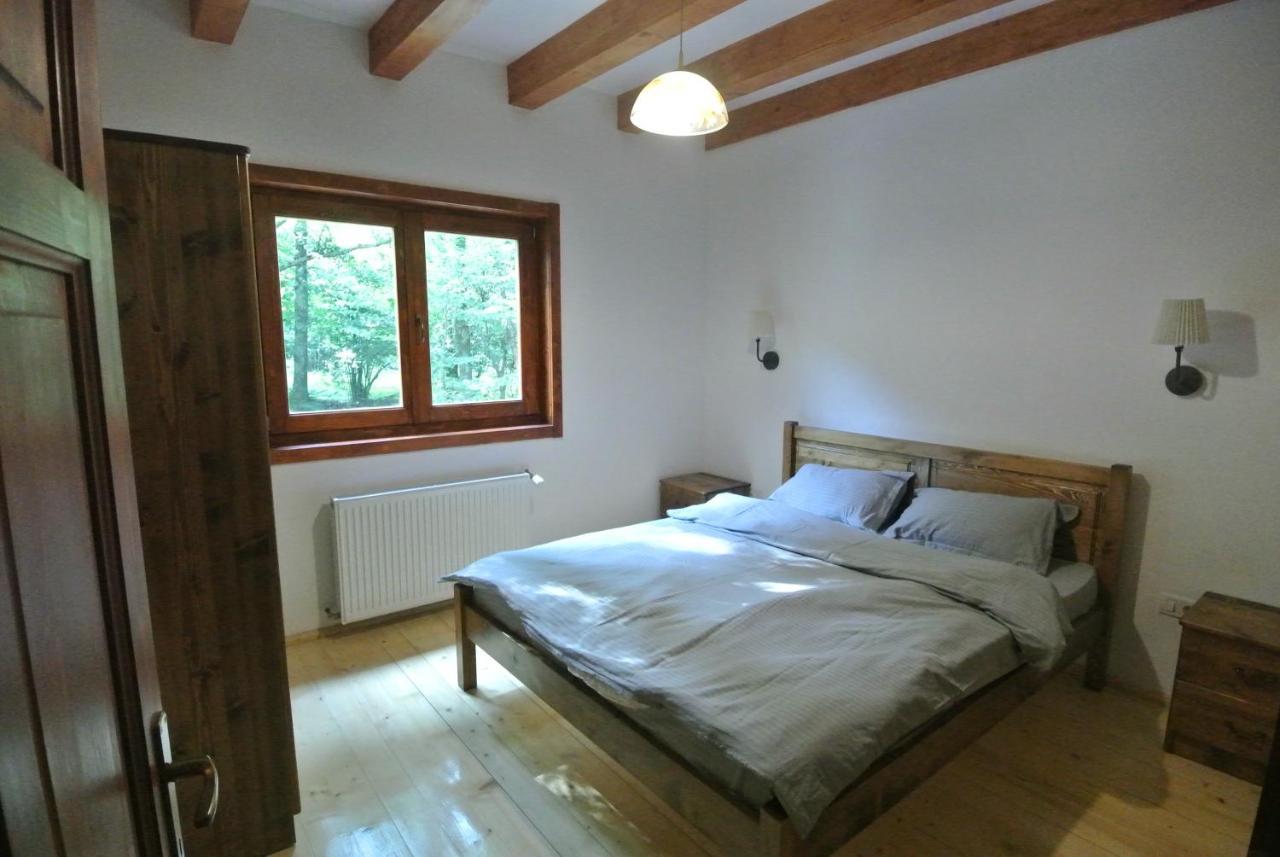 Chalet By The River Văliug エクステリア 写真
