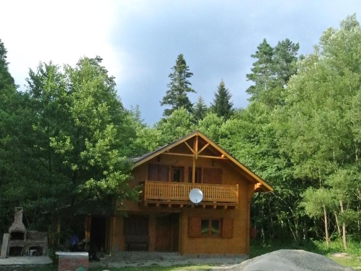 Chalet By The River Văliug エクステリア 写真
